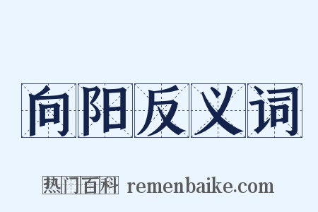 向阳反义词是什么意思的图片